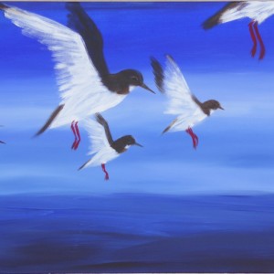 Wind%20unter%20den%20Fluegeln